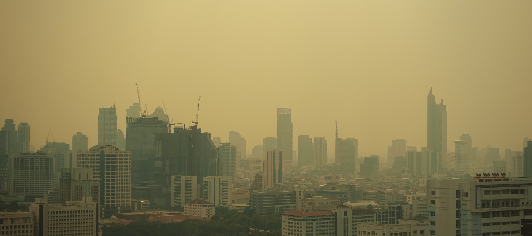 Comprehensive Guide to Understanding and Improving Air Quality Index