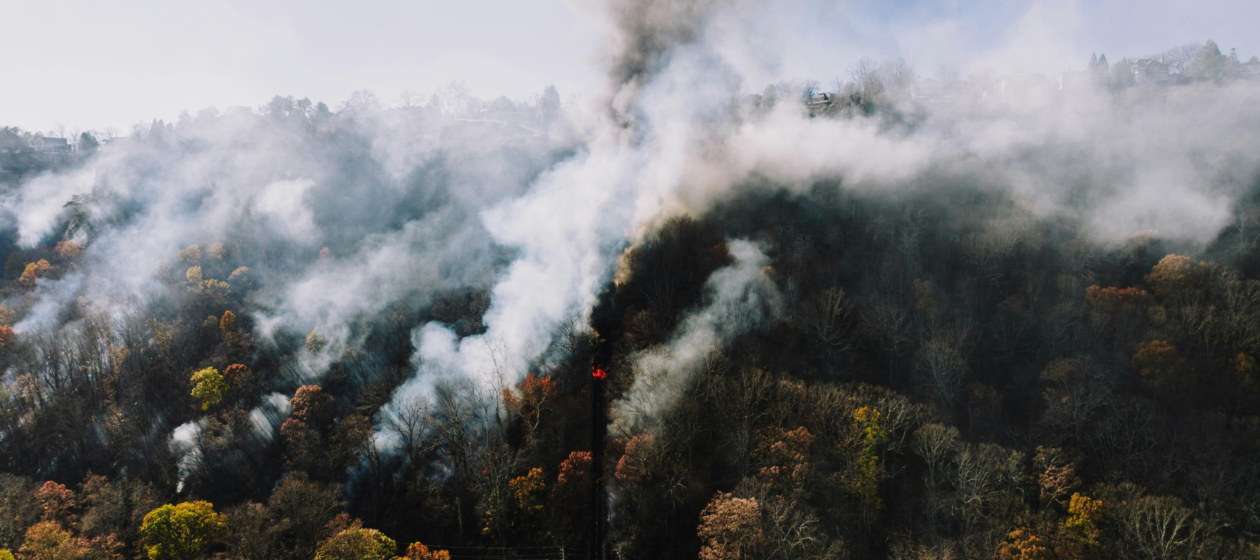 How Dangerous is Wildfire Smoke?