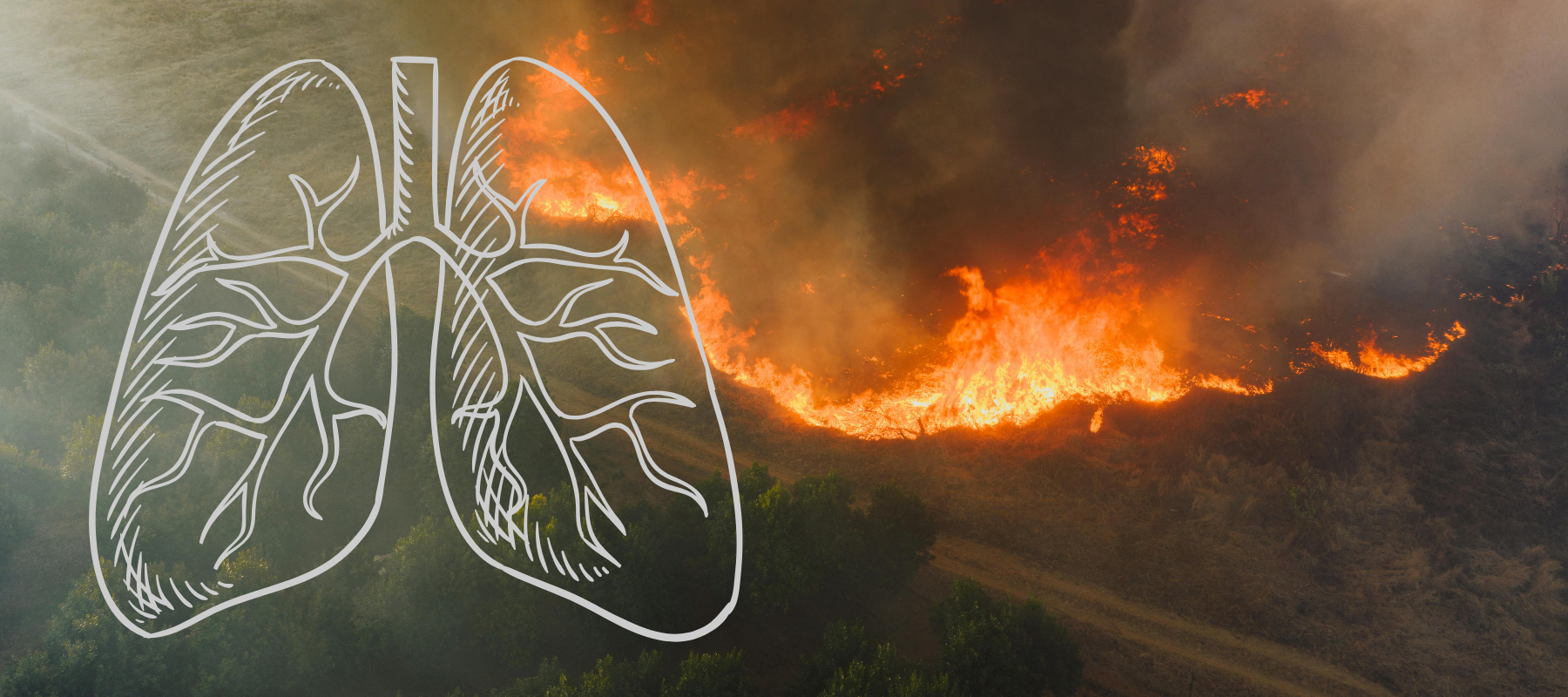 Protecting Your Lungs From Wildfire Smoke