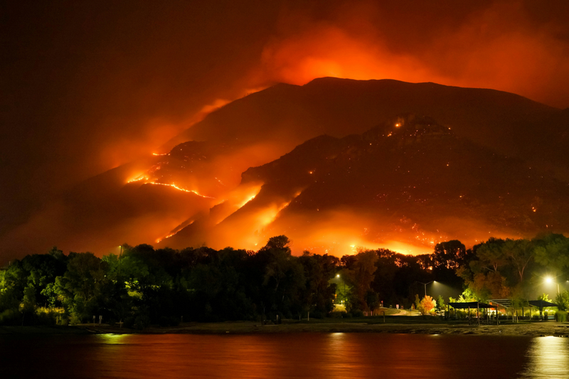 Wildfire Season in the USA: Top States Affected and the Importance of ...